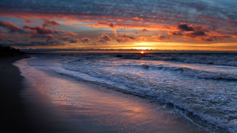 Аліна Губар | Сумы