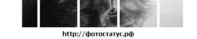 №34, Марина Ляшенко, 33 года, Глухов №34, Марина Ляшенко, 33 года, Глухов