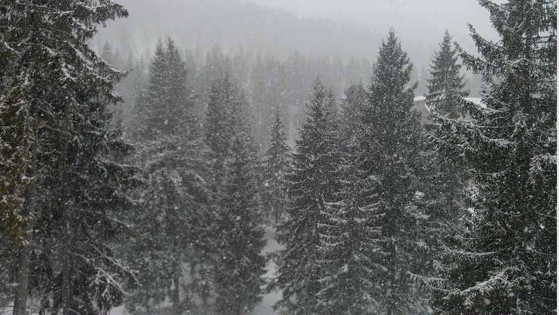 Артем Домбровский | Жмеринка