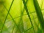 Юська Смышникова | Киев (деревня)