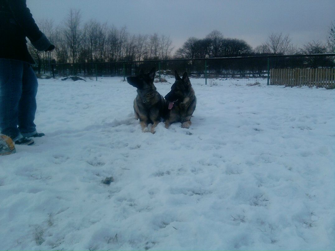 Anastasia Zezegov | Flensburg