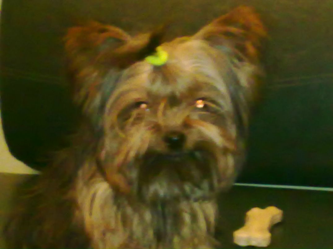 Наталья Шемякина | Москва