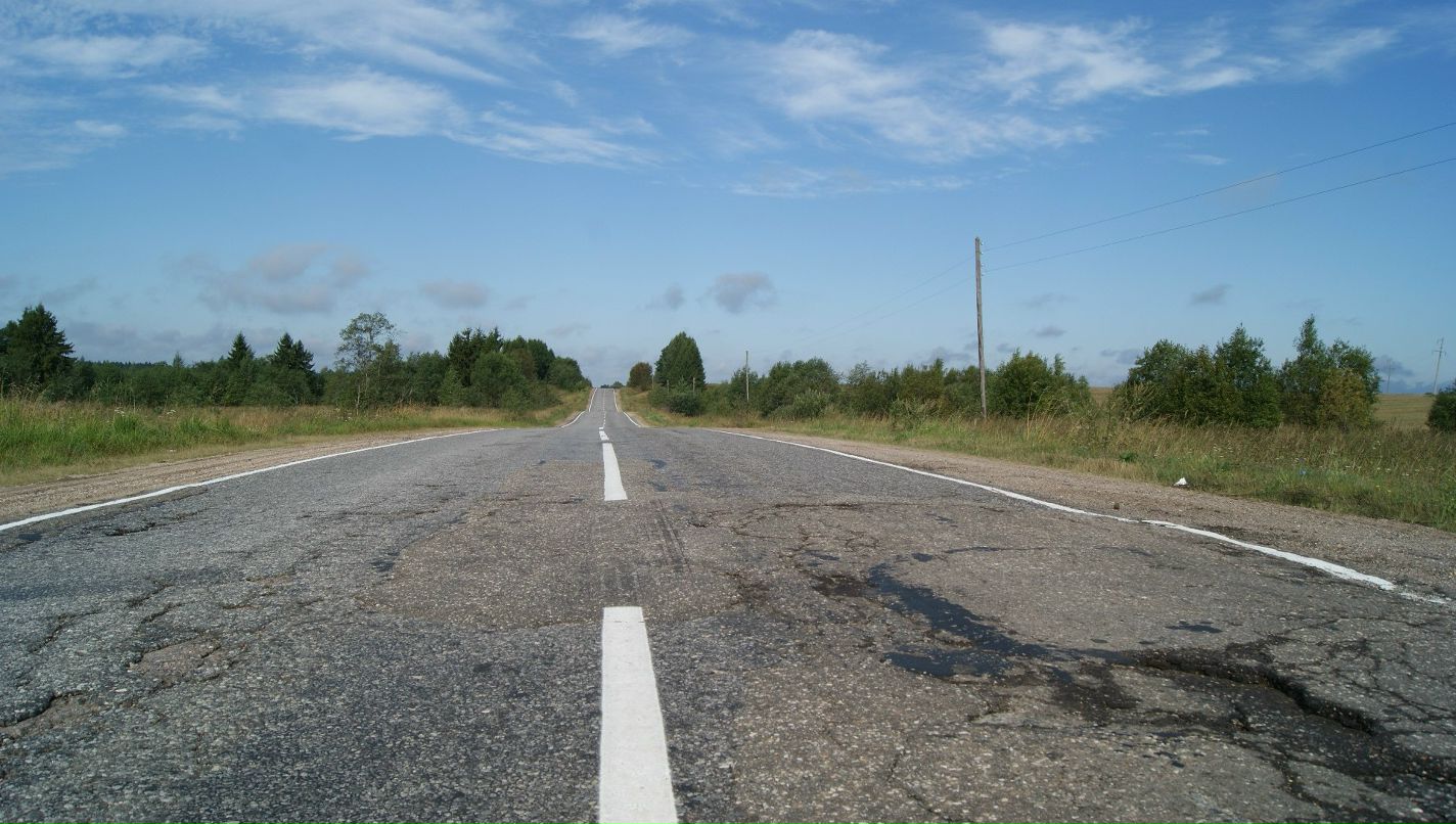 Дарья Богомолова | Санкт-Петербург