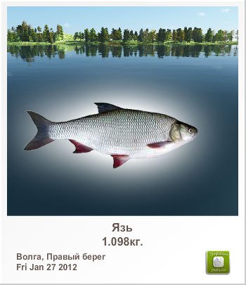 Сергей Шихов | 