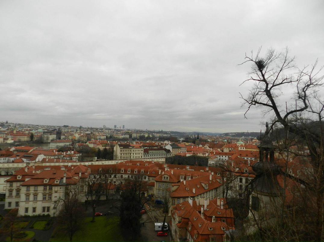 Анастасия Гурьян | Москва