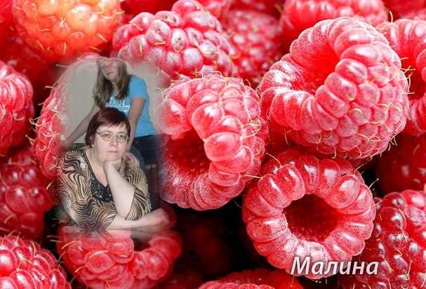 Лариса Ленская | Новосибирск