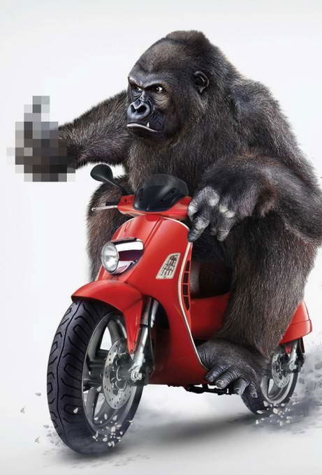 Дмитрий Нагулин Олегович | Одесса