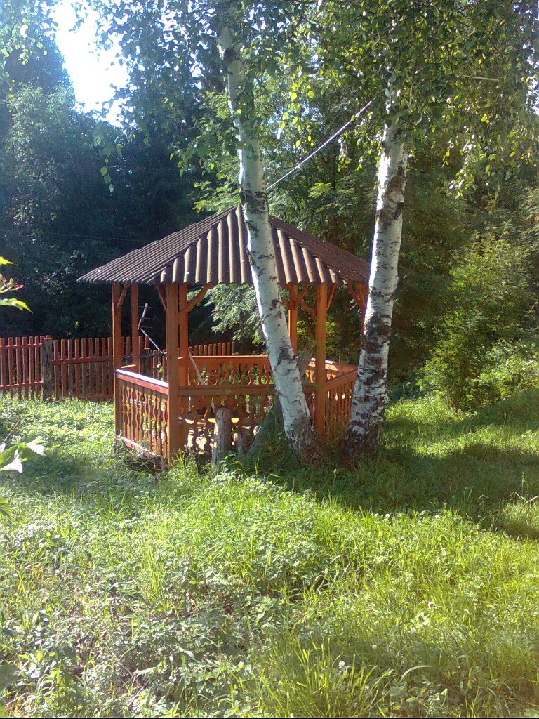 Татьяна Семейкина | Архангельск