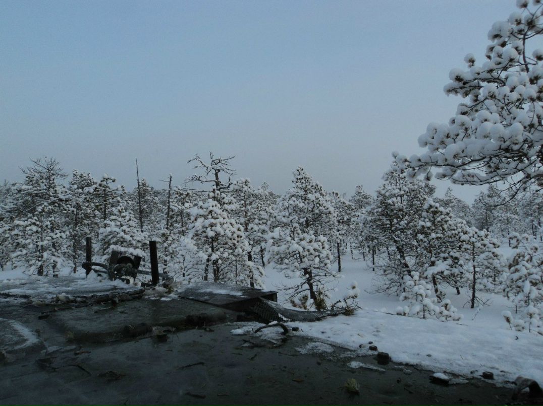 Александр Маланьин | Пермь