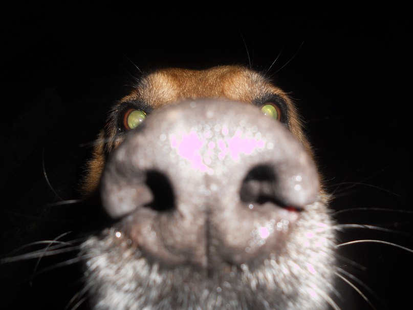 Александр Чепурко | Сочи