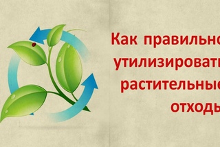 Как правильно утилизировать растительные отходы