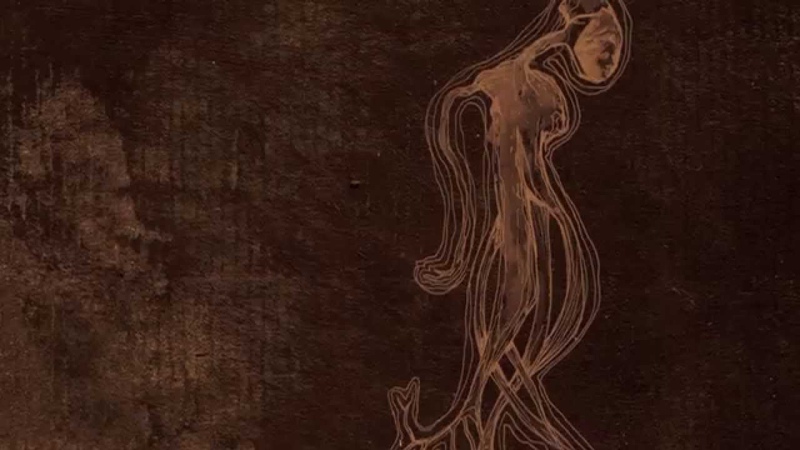 SUS SCROFA Sinistre Sylve