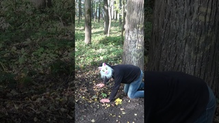 ВОТ ЭТО ПОВОРОТ #shorts#юмор #смех #funny #прикол #рекомендации #ржака #квадробер #memes #топ