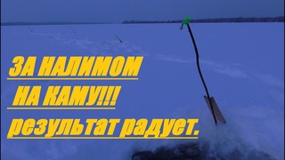ЛЕСКА ТРЕЩИТ ОТ ЭТИХ РЫБИН!!! №88