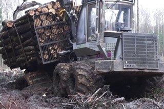 Logging with Logset 6F, wet conditions, skilled operator