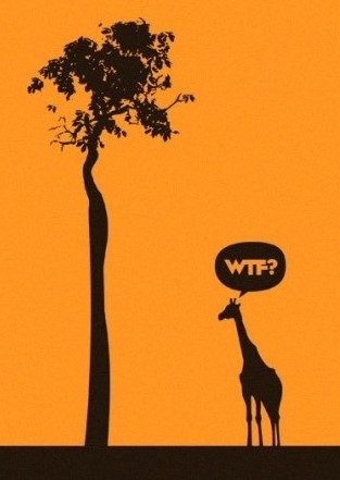 Тимурка Нуров | Питер (деревня)