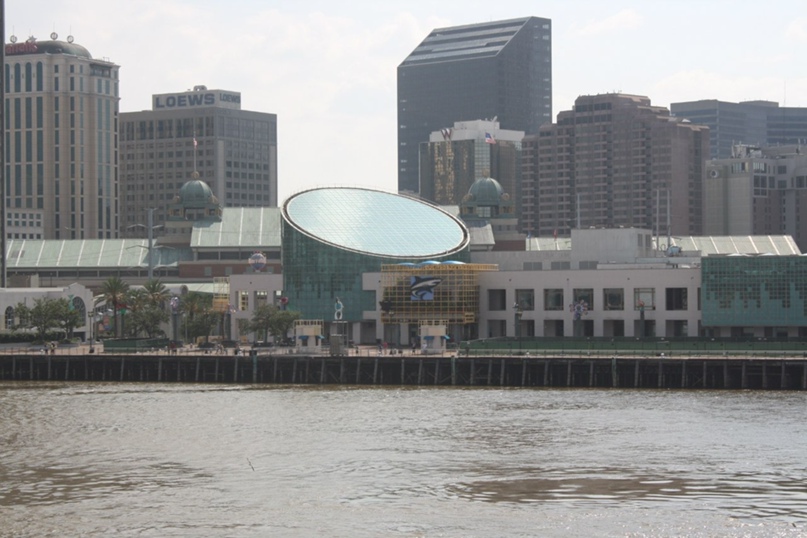 Антон Никифоров | Санкт-Петербург