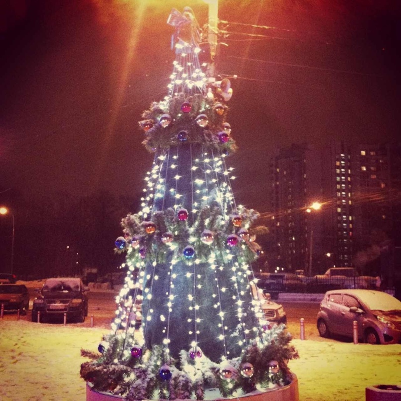 Эльмира Димаева | Москва