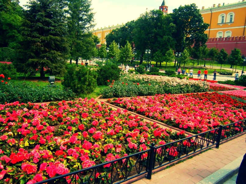 Максим Головко | Волжский