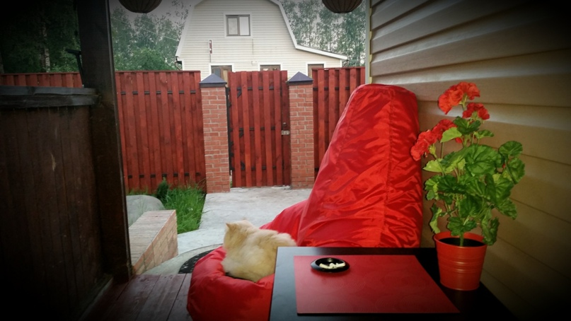 Саша Коротков