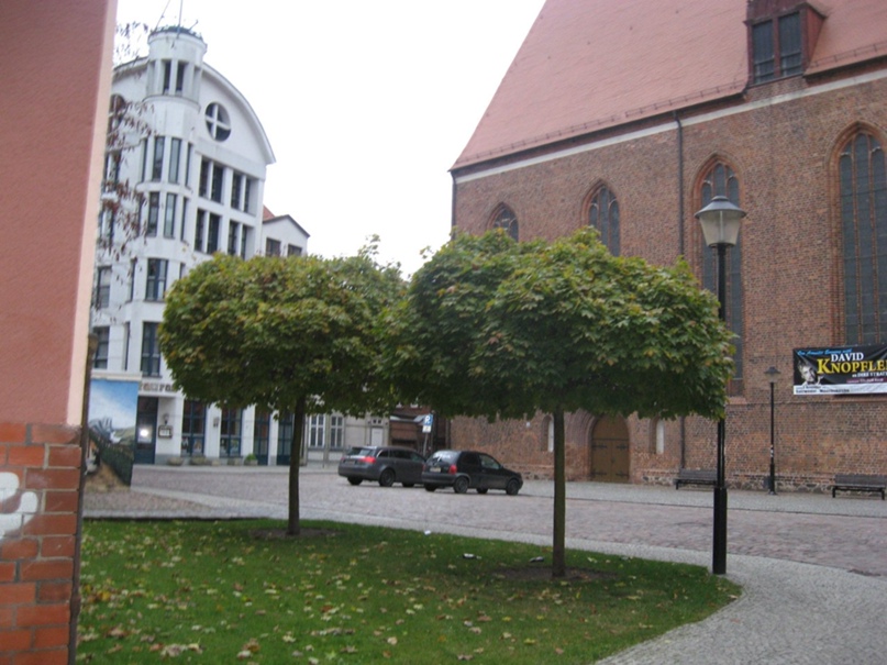 Анна Тимонина | Щекино (деревня)