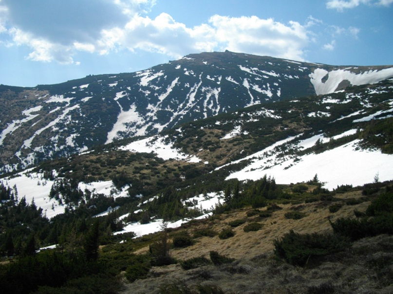 Оля Буденис | Минск