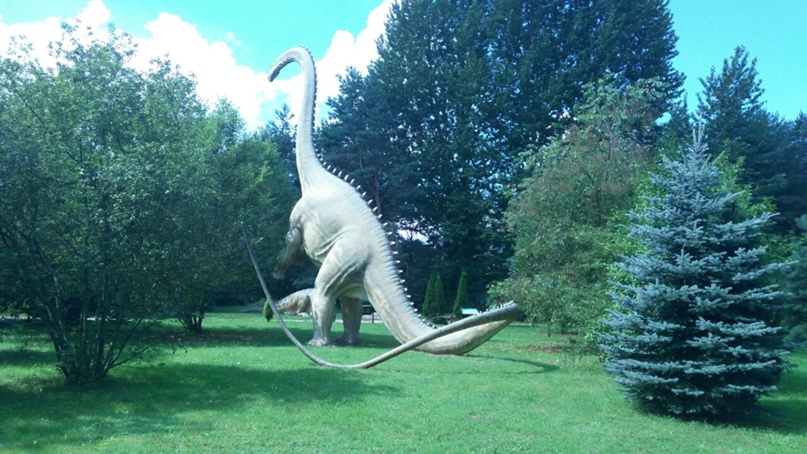 Лена Медведева | Столбцы