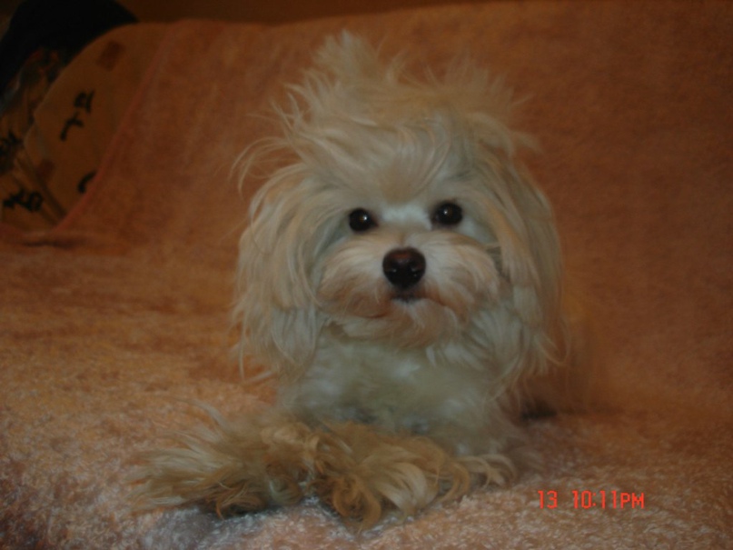 Марина Петросян | Санкт-Петербург