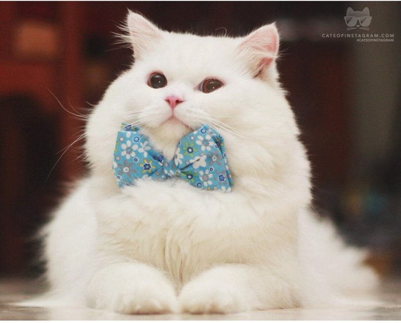 Настасья Кузьмина | Одесса