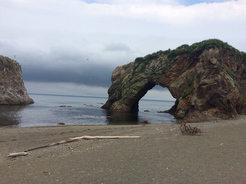 Михаил Егоров | Москва