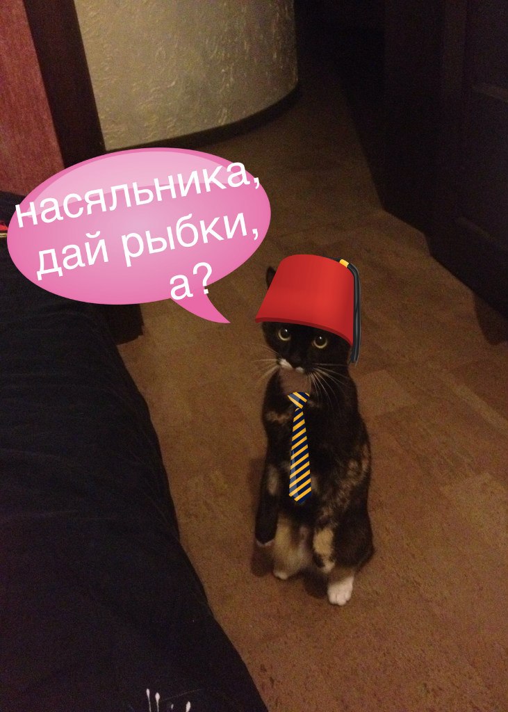 Дашка Филиппова | Москва