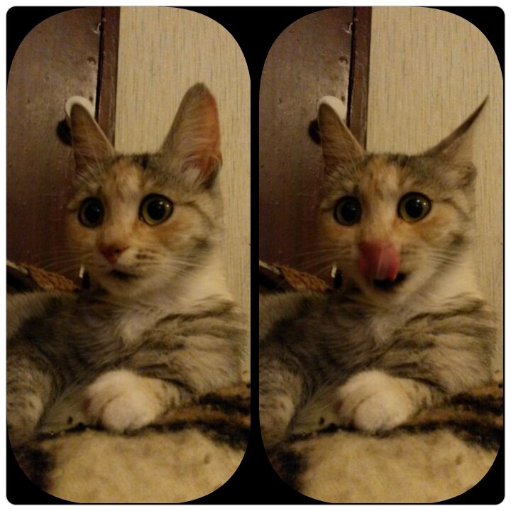 Александра Баландина |