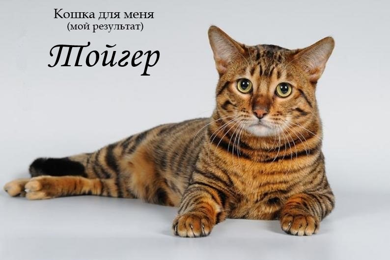 Юлия Безуглая ♥♥ ♥Juliet♥ ♥♥ | Харьков