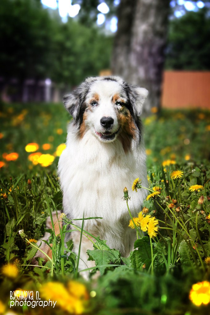 Наталия Бычкова | Коломна