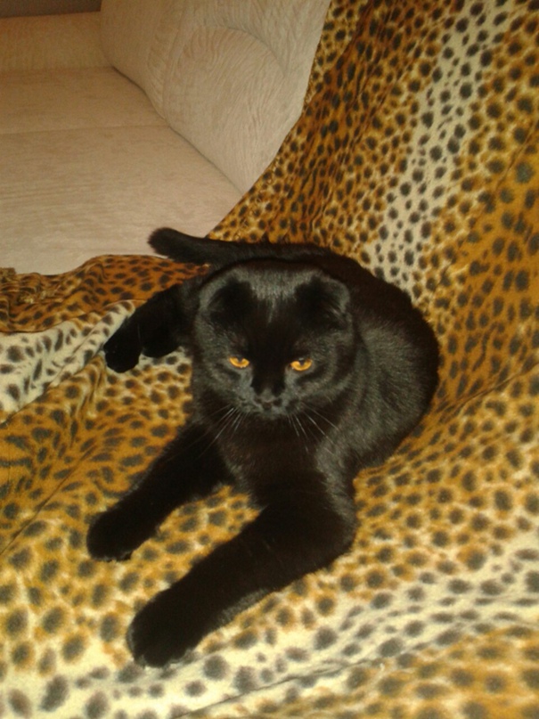 Ирина Константинова | Киров