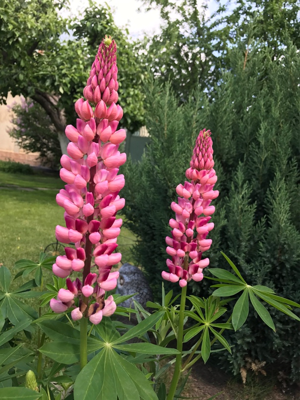 Татьяна Валентинова | Воронеж