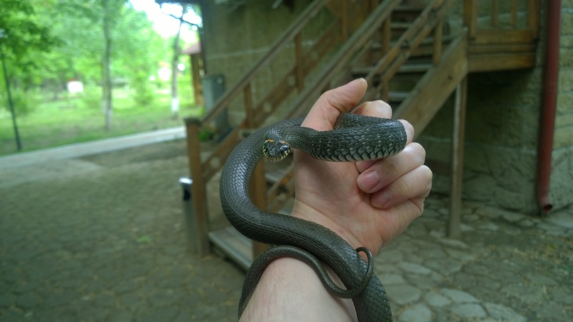 Александр Сироткин El_Barto | Москва