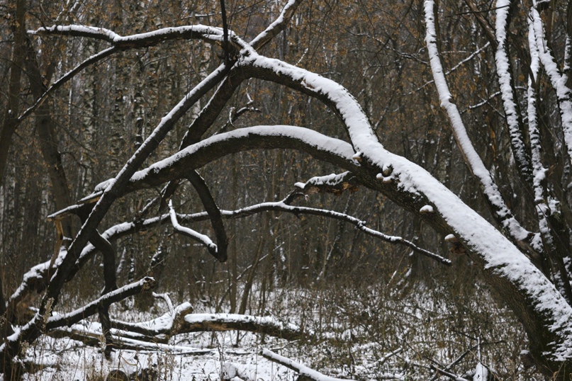 Ксения Калинина | Москва