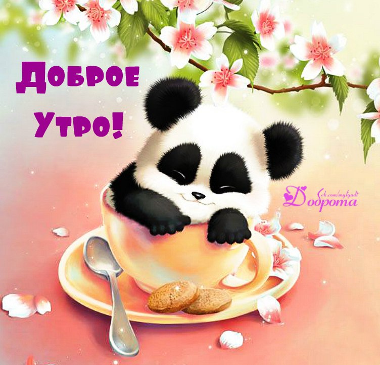 Good morning everyone ! Съемка рекламы Видеопроизводство Grizzly Film ВКонтакте