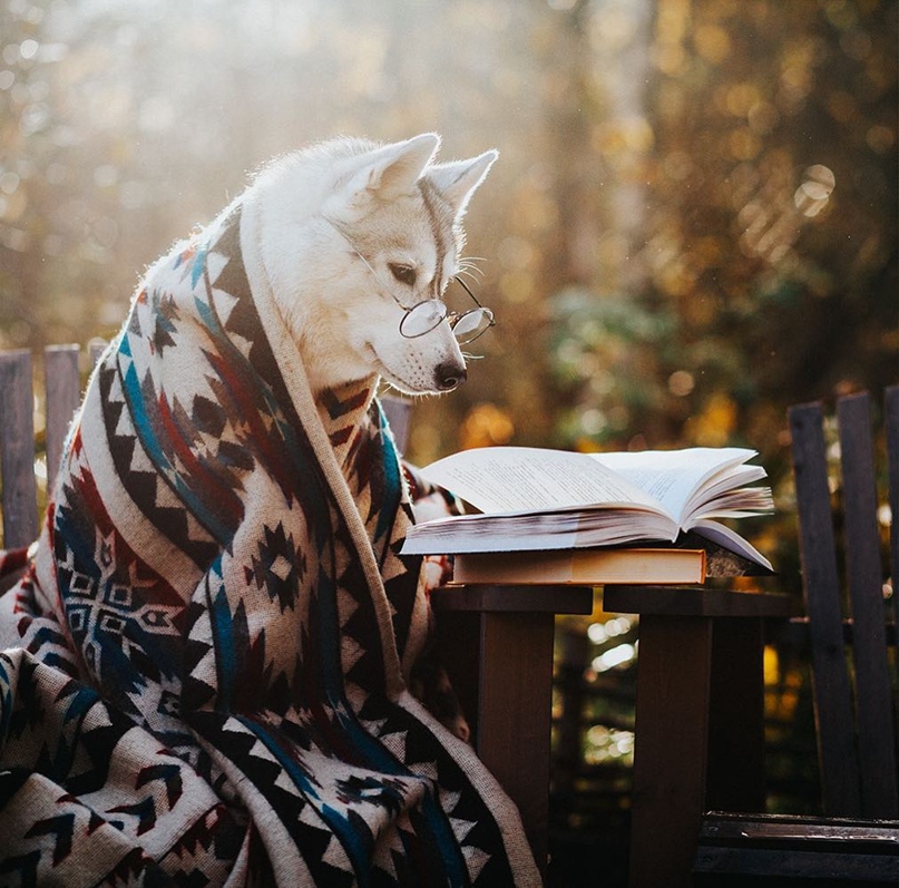 Олег Степанов | Самара