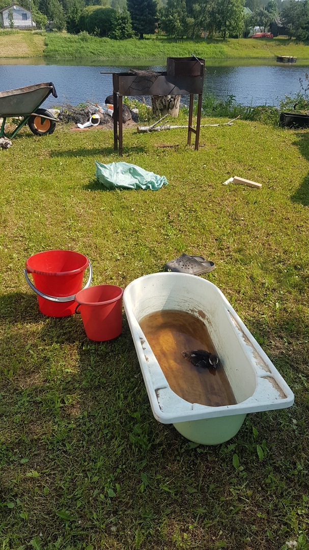 Олег Корнилов | Санкт-Петербург