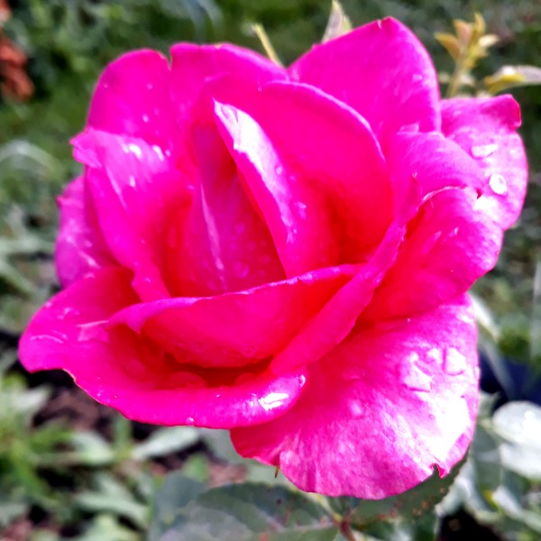 Наталья Бойкова | Новокузнецк