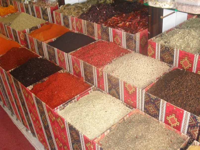 Лена Зыкова | Лесной