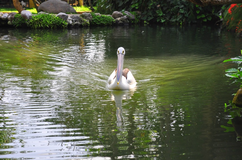 Александр Ермаков | Москва