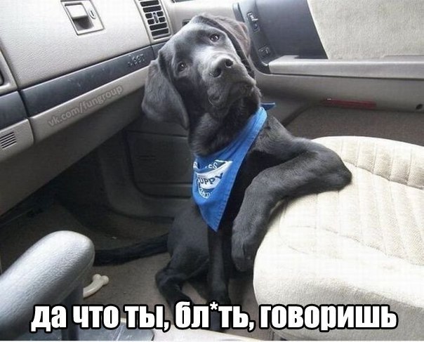 Кирилл Галкин | Пенза