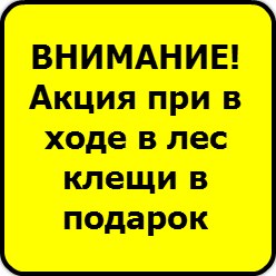 Николай Никифоров    | Бийск
