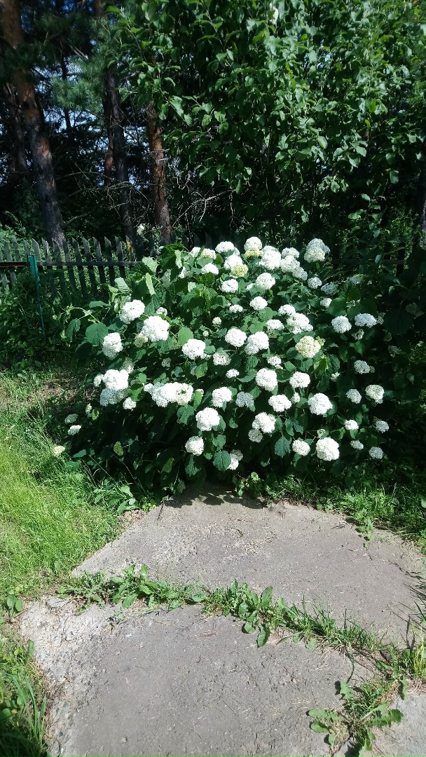 Оля Егорова | Работки