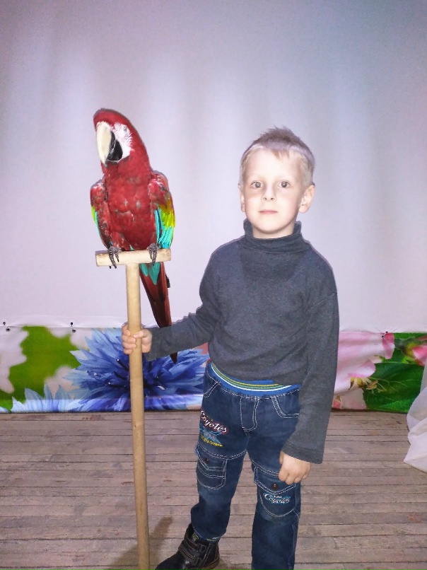 Наталья Стародубцева | Лебедянь