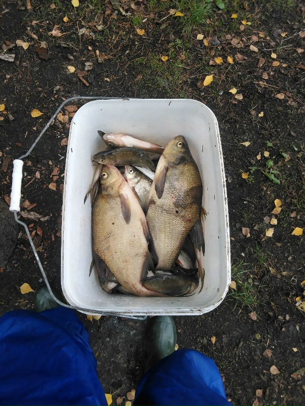 Дмитрий Таланов | Дзержинск