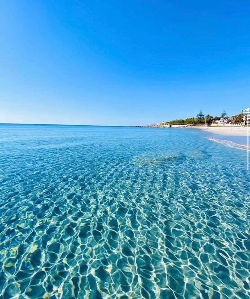 Чистые моря Чистые моря